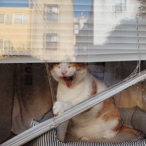 Meet your Posher, Jacqueline